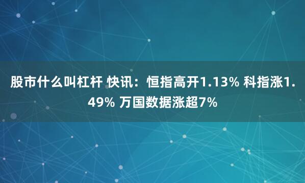 股市什么叫杠杆 快讯：恒指高开1.13% 科指涨1.49% 万国数据涨超7%