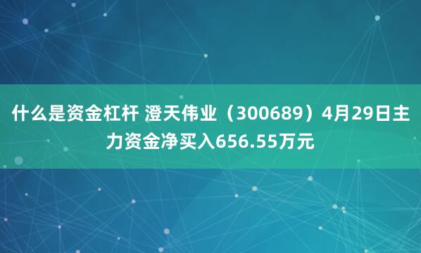 什么是资金杠杆 澄天伟业（300689）4月29日主力资金净买入656.55万元
