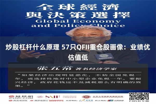 炒股杠杆什么原理 57只QFII重仓股画像：业绩优估值低
