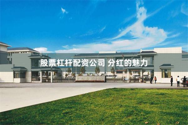 股票杠杆配资公司 分红的魅力