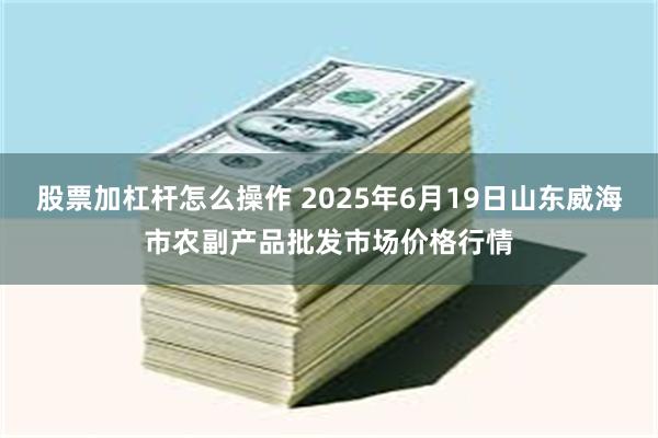 股票加杠杆怎么操作 2025年6月19日山东威海市农副产品批发市场价格行情