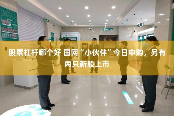 股票杠杆哪个好 国网“小伙伴”今日申购，另有两只新股上市