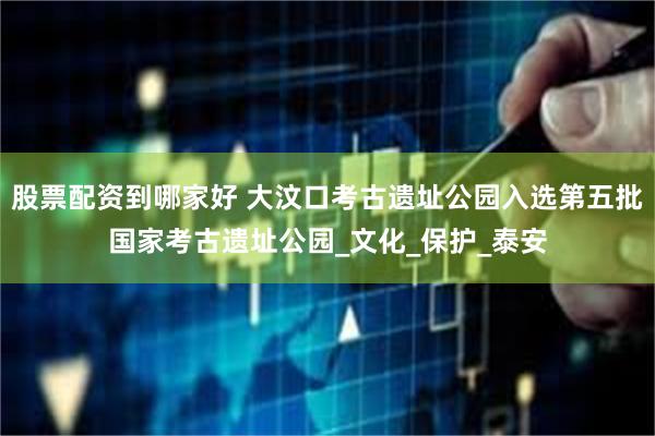 股票配资到哪家好 大汶口考古遗址公园入选第五批国家考古遗址公园_文化_保护_泰安