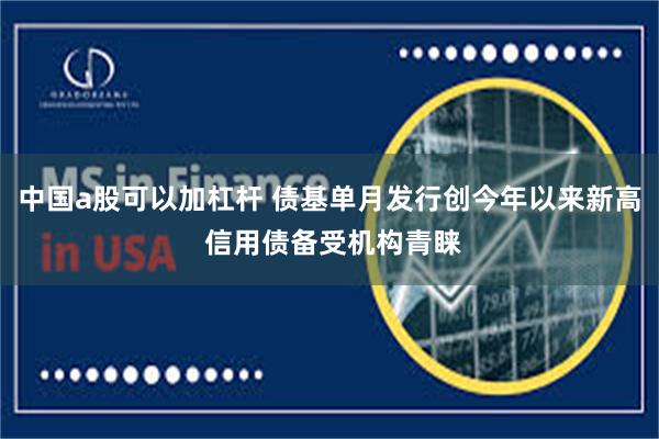 中国a股可以加杠杆 债基单月发行创今年以来新高 信用债备受机构青睐