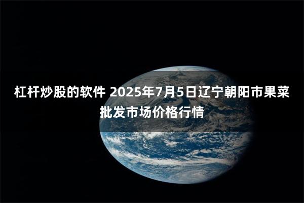 杠杆炒股的软件 2025年7月5日辽宁朝阳市果菜批发市场价格行情