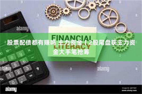 股票配债都有赚吗 主力资金丨2股尾盘获主力资金大手笔抢筹