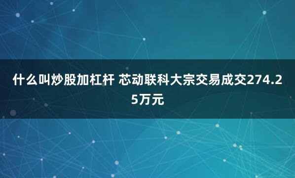 什么叫炒股加杠杆 芯动联科大宗交易成交274.25万元