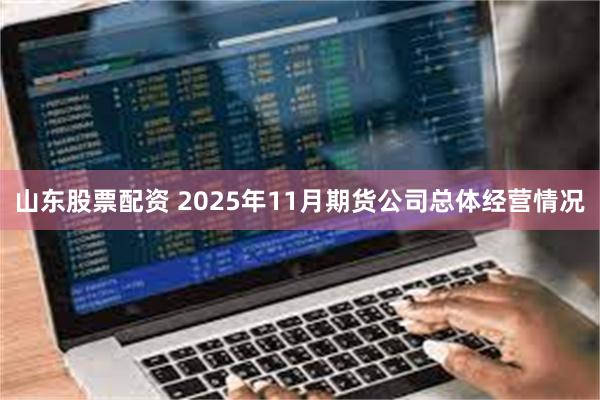 山东股票配资 2025年11月期货公司总体经营情况
