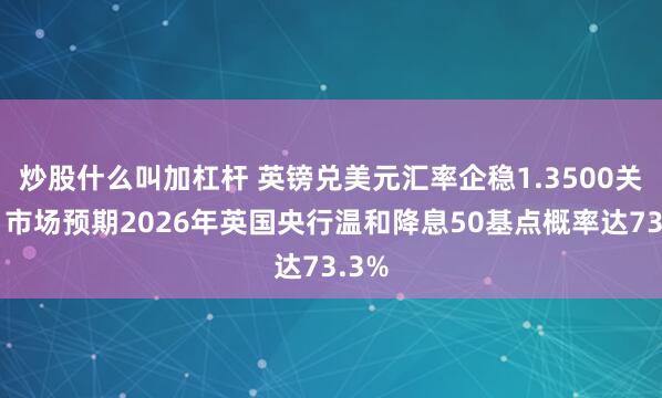 炒股什么叫加杠杆 英镑兑美元汇率企稳1.3500关口，市场预期2026年英国央行温和降息50基点概率达73.3%